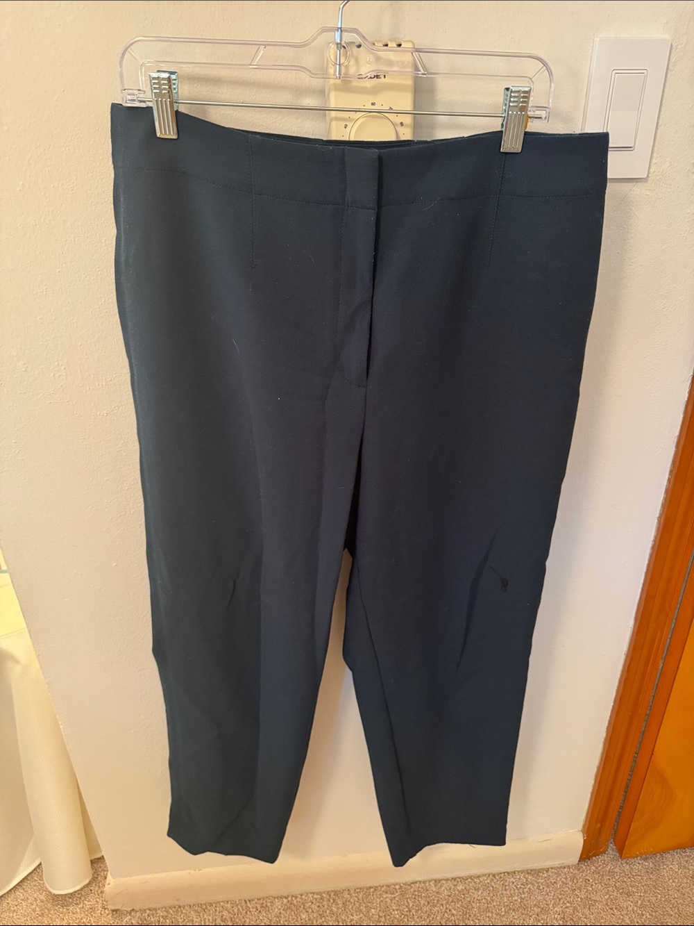 Ann Taylor Classic Straight-Leg Pants in blue green